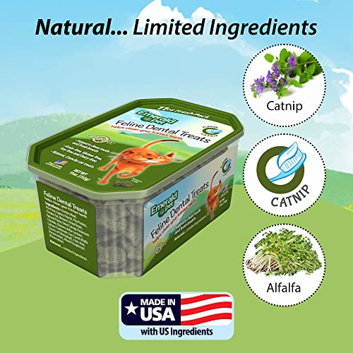 Grain Free Cat Dental Treats with Catnip (11 Ounce (Pack of 1))