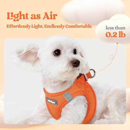 Dog Harness Small Sized and Leash Set (Orange / Xxxs (chest: 10.8 - 11.8"))
