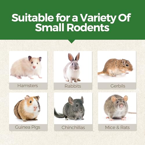 4PCS Guinea Pig Toys (4PCS-Fruit & Vegetable)