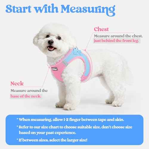 Dog Harness Small Sized and Leash Set (Blue & Light Pink / Xs (chest: 13.3 - 15.5"))