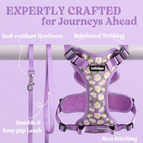 Cat Harness and Leash Set (M / Purr-ple Daisy)