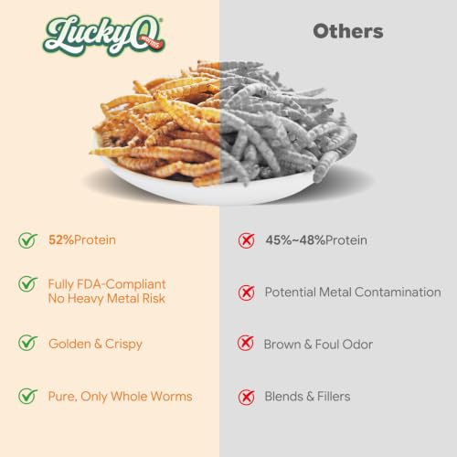 20lb Dried Mealworms for Chickens Duck High Protein Birds Treat (20 Pound (Pack of 1))