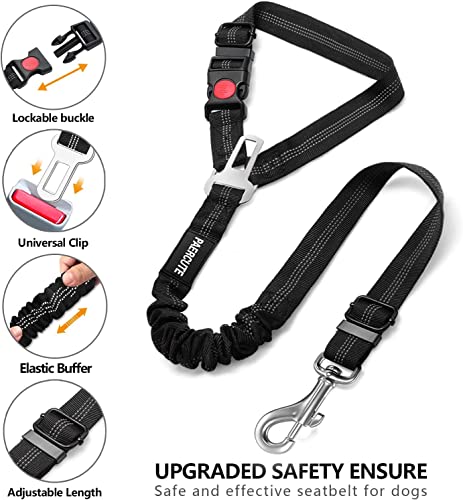 2 Piece Set Dog Seat Belt (Purple)