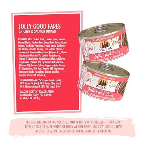 Wet Cat Food Jolly Good Fares with Chicken and Salmon Pate