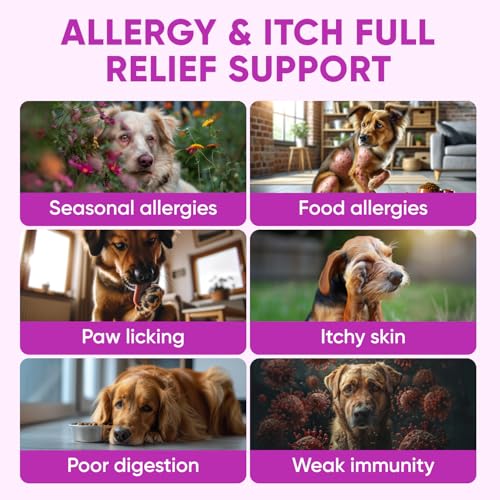 Dog Allergy Relief Chews for Itchy Skin (Purple)