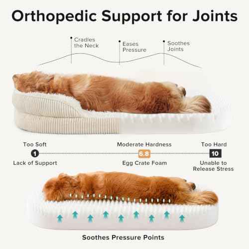 Fluffy Orthopedic Dog Beds Large Sized Dog (Cream / XL (42"x 32"x 7"))