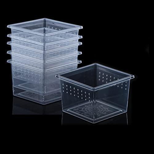 10 Pcs Insect Spider Terrariums Breeding Box Hatching Container Small Reptile Scorpion Centipede Acrylic Breeding Box