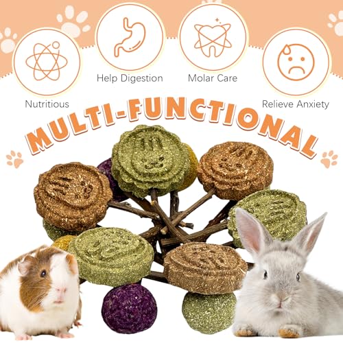 Rabbit Chew Toys