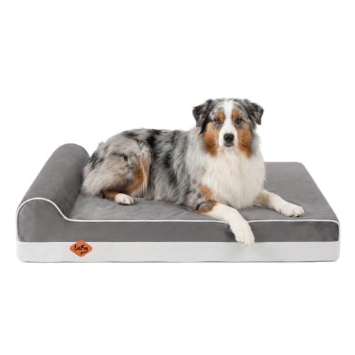 Orthopedic Dog Beds for Large Dogs