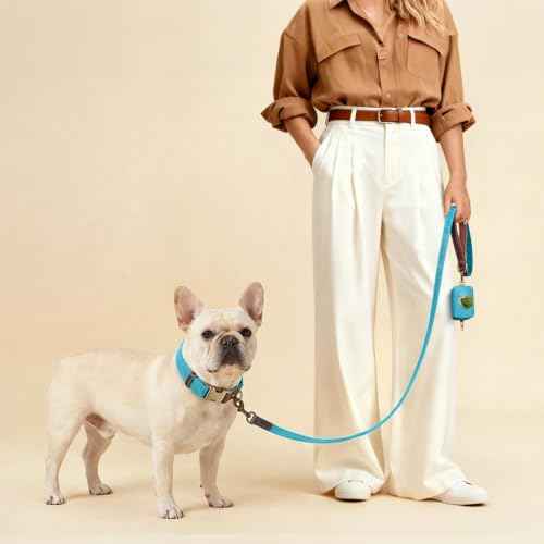 PU Leather Dog Collar for Medium Dogs (Light Blue / M: Neck 14-19", Width ¾")