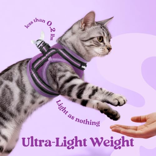 Cat Harness and Leash Set (L / Purple-Light Purple)