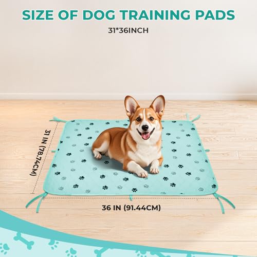 Washable Dog Pee Pads (Green / 31*36 Inch (Pack of 2))