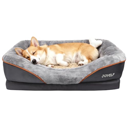 Medium Memory Foam Dog Bed Orthopedic Dog Bed & Sofa with Removable Washable Cover and Squeaker Toy as Gift (Medium-31.5"x22")