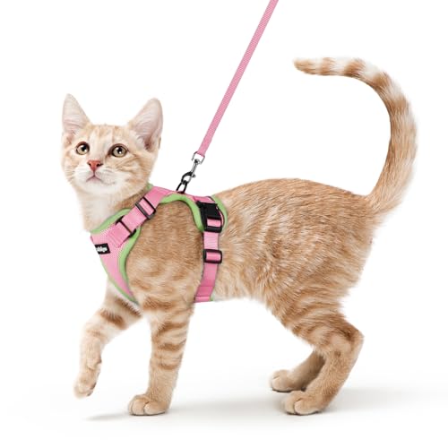 Cat Harness and Leash Set (S / Pink & Light Green)