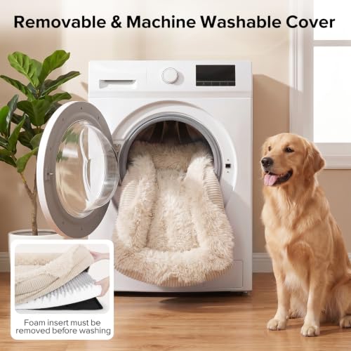 Orthopedic Dog Bed for Medium Sized Dog (Cream / 35"L x 25"W x 6.5"T)