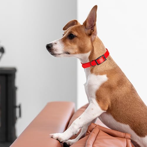 Biothane Waterproof Dog Collar Strong Coated Nylon Webbing with Black Hardware Odor (W1" x L22"-25" / Cherry Red)