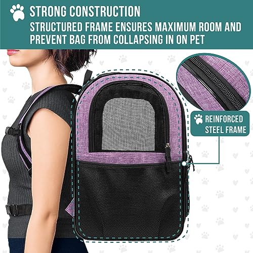 Dog Backpack Carrier (Purple)