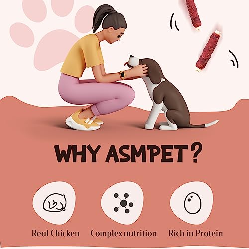 Dog Treats Bones