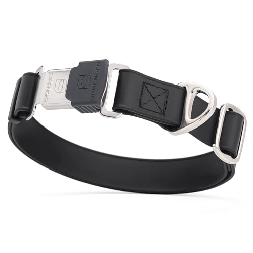 Biothane Waterproof Dog Collar with Herm Sprenger Stainless Steel Quick Release Buckle (W 1" x L 15"-25" / Black)