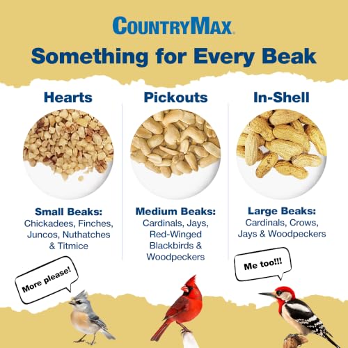 25LB Shelled Peanut Pickouts for Wild Birds & Squirrels (25 Pound (Pack of 1) / Shelled Peanut Pickouts)