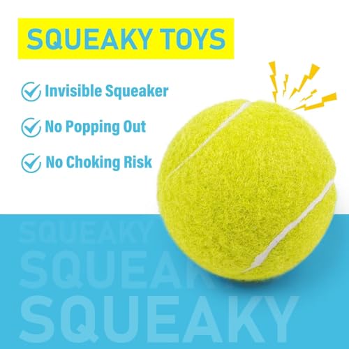 Tennis Balls for Dogs 3 Pack 2.5” (2.5" Squeaky / 3 Pack, Yellow)