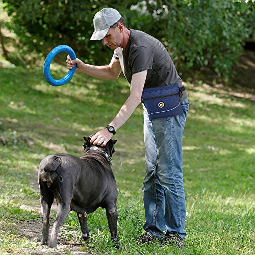 Dog Treat Pouch Bag with Magnetic Closure (L / Blue)