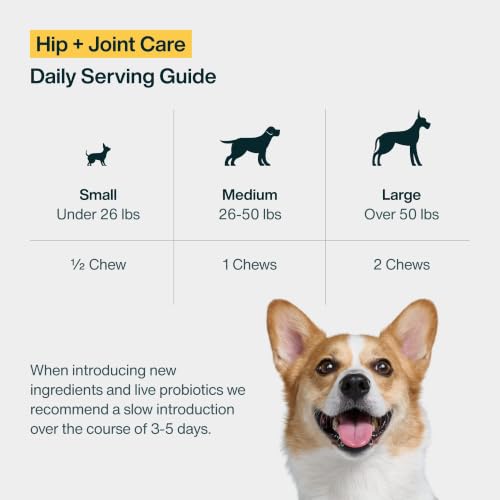 Dog Hip & Joint Chew Supplement (Hip + Joint Care)