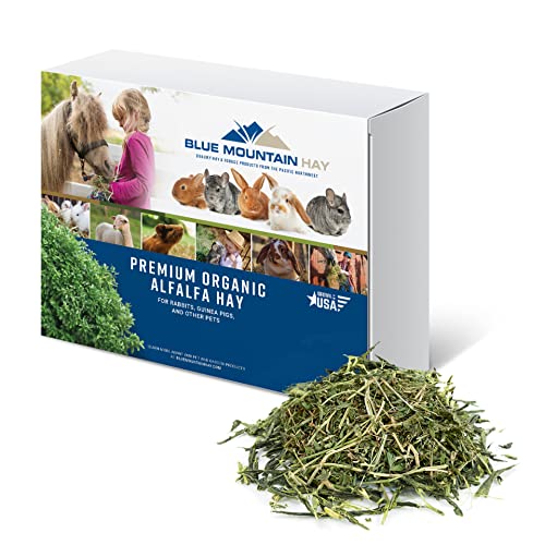 Organic Alfalfa Hay for Small Pets (25 Pound (Pack of 1))