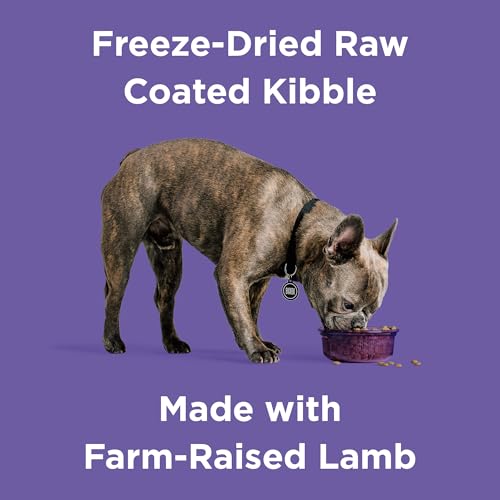 Rawbble Freeze
