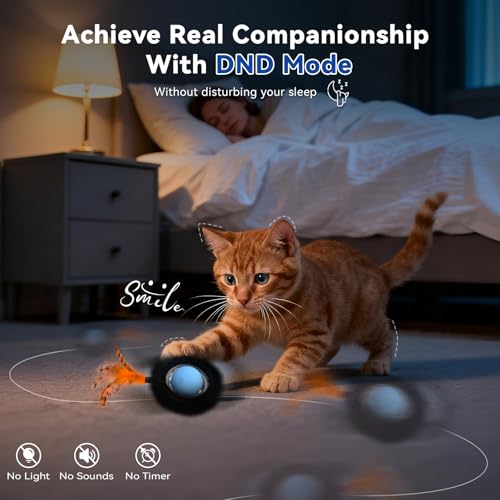 Interactive Cat Toy for Indoor Cats (Starry Night)