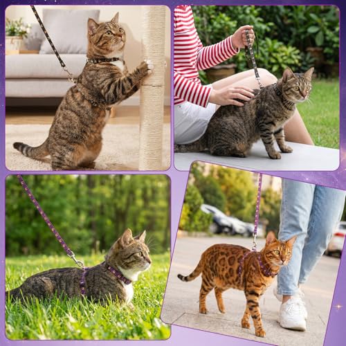 2 Pack Cat Harness and Leash (Black Purple)