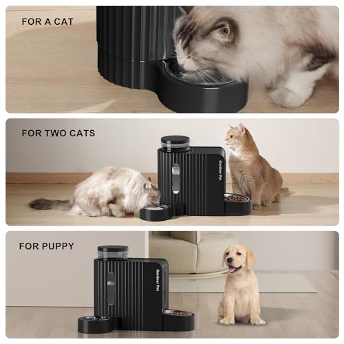 Gravity Automatic Cat Feeder (Large (0.8 Gallon x 2) / Black)