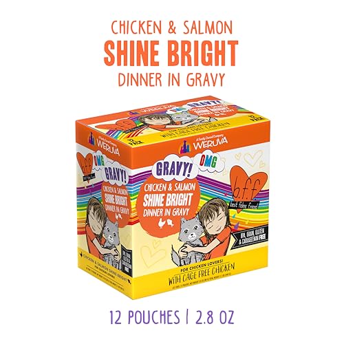 B.F.F. OMG Best Feline Friend Oh My Gravy! (2.8 Ounce (Pack of 12))