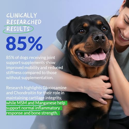 Hip and Joint Supplement for Dogs