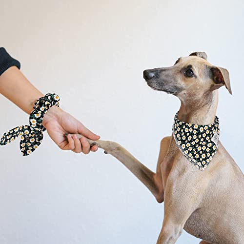 Dog Bandanas & Matching Scrunchie Set Girl Dog Scarf Bibs with Bow Scrunchie for Medium Large Dogs Pet Owner Gifts Flower Black (02-floral black / Large-set of 1)