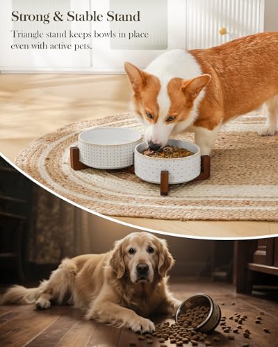 Dog Bowl Set Ceramic Bowls with Walnut Wood Stand (Rhombic+Polka Dots / 4 Cups)