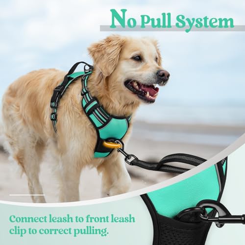 Dog Harness No Pull Medium Sized with 2 Leash Clips (Medium / Turquoise)