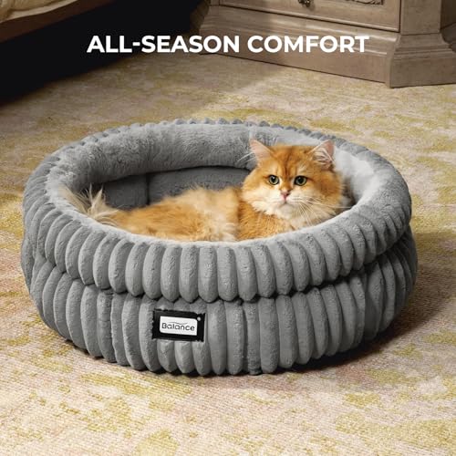 Cat Bed Kitten Bed (24.0"L x 24.0"W x 9"Th / Grey)
