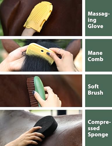 Horse Grooming Kit (Pasture Glow)