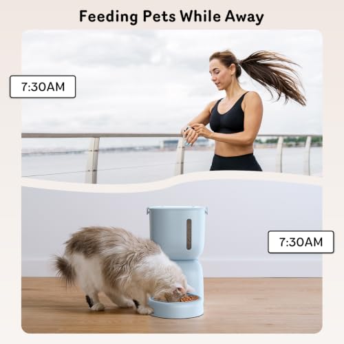 Automatic Cat Feeder and Water Dispenser FW1 (Blue)