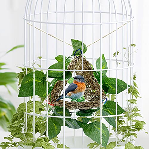 3 PCS Parrot Seagrass Mat
