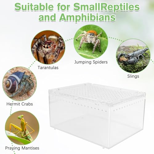 Reptile Terrarium Enclosure 8"x6"x4" Acrylic Tarantula Breeding Box Magnetic Hermit Crab Habitat Transparent Jumping Spider Cage for Insect Snail Amphibians Sling Isopods (S: Standard Version)