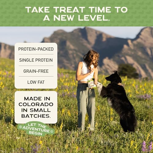 Healthy Soft Dog Treats (5 Ounce (Pack of 1))
