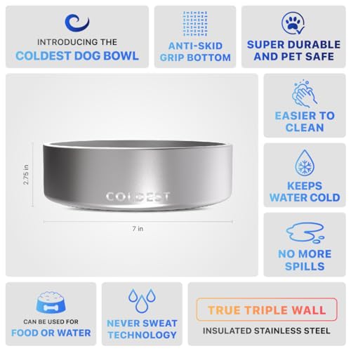 Coldest Dog Bowl (42 oz / Polished Stainless Steel)