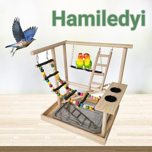 Bird Playground Parakeet Play Gym Wooden Parrot Perch Stand