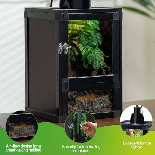 8" x 8" x 12" Reptile Terrarium 5