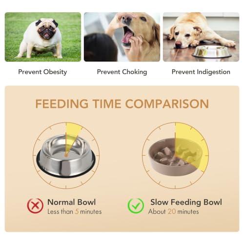 Elevated Slow Feeder Dog Bowls (Brown Coffee)
