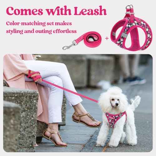 Dog Harness Medium Sized and Leash Set (Pink Berry / M (chest: 16 - 18.5"))