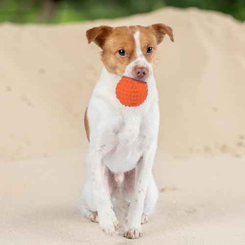 Squeaky Dog Toys with Soft Durable Fabric for Small (Orange / Large)