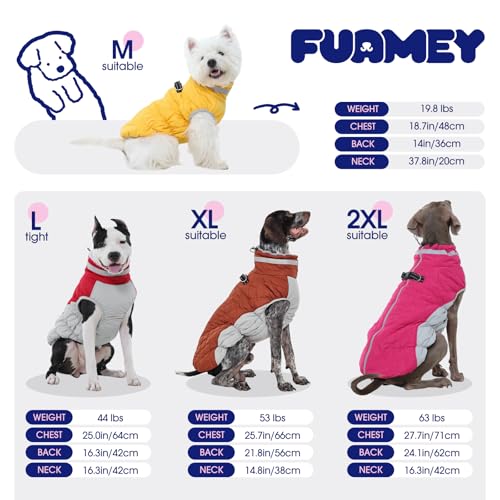 Dog Coat for Large Dogs (Blue / XXXL(chest:43in))